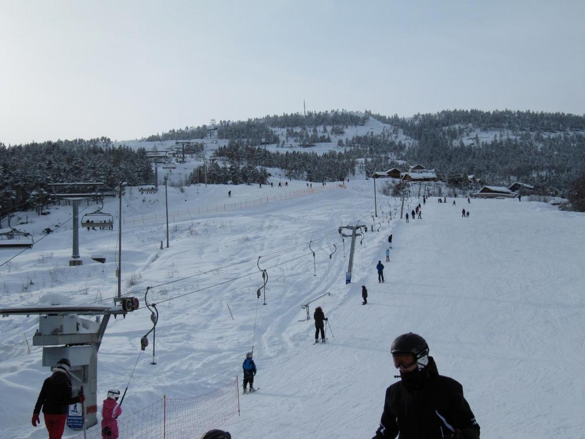 Vradal Panorama - Tiurasvegen 39 Vila Exterior foto