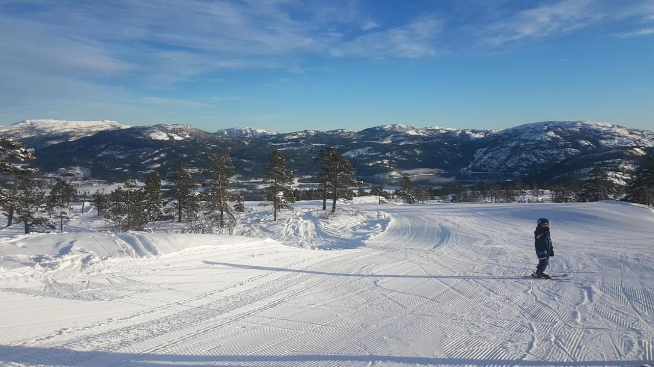 Vradal Panorama - Tiurasvegen 39 Vila Exterior foto