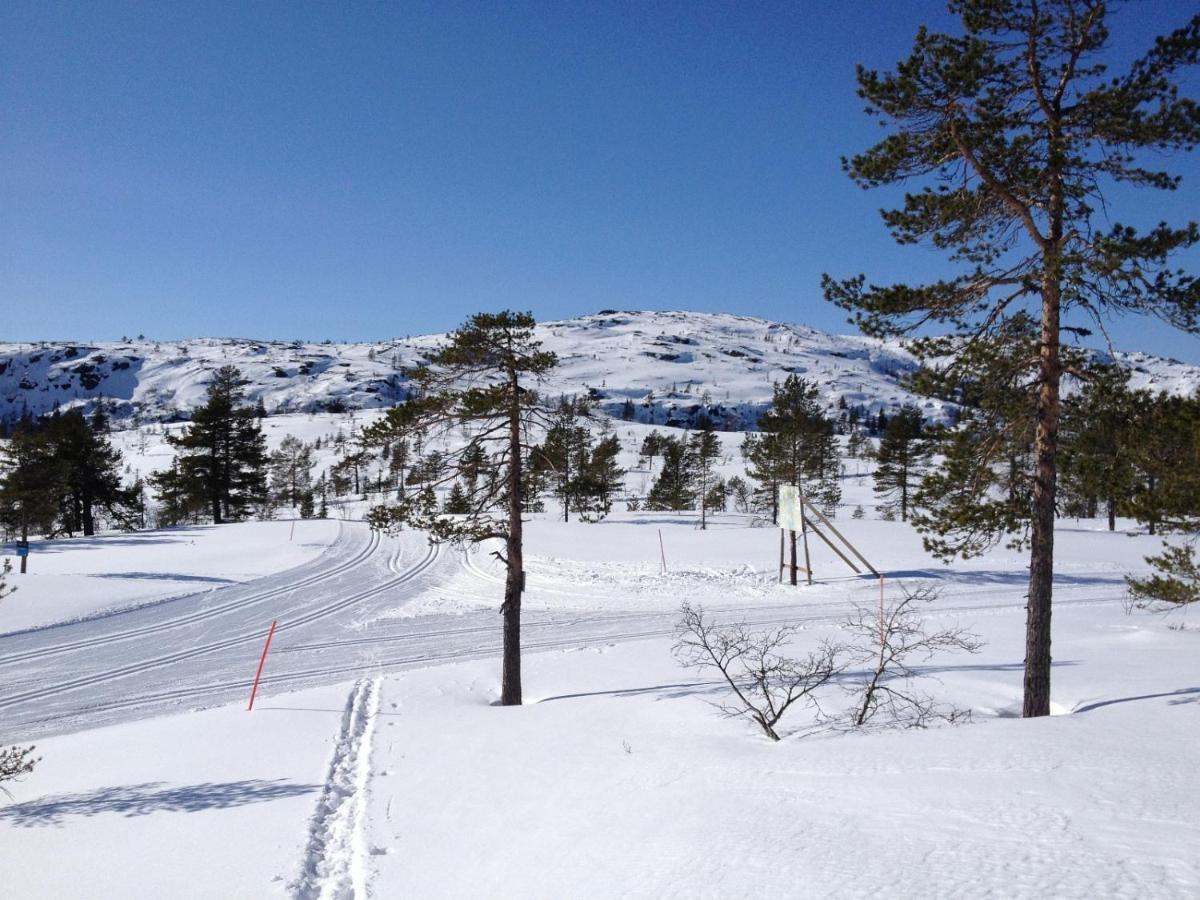 Vradal Panorama - Tiurasvegen 39 Vila Exterior foto